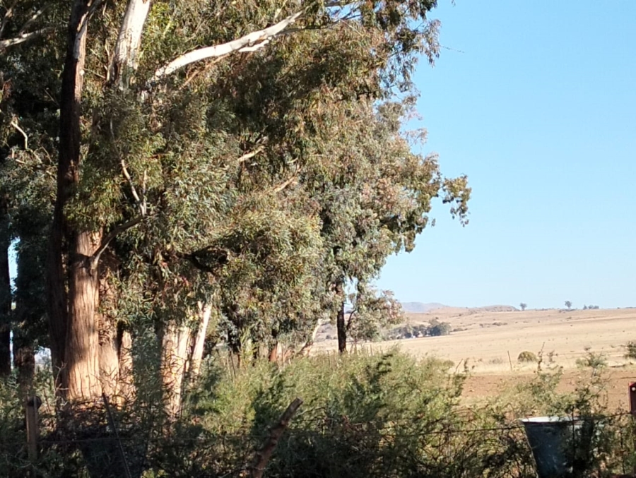 Commercial Property for Sale in Thaba Nchu Free State